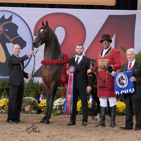 rick osteen photography|howard schatzberg horse photography.